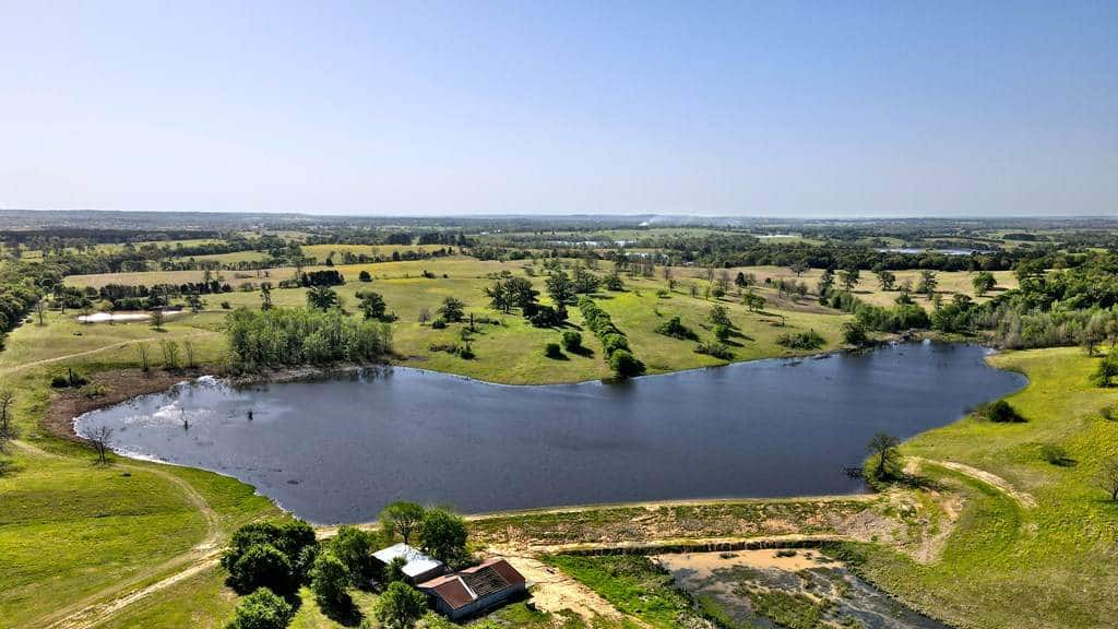 Steve-Grant-Larue-Athens-Texas