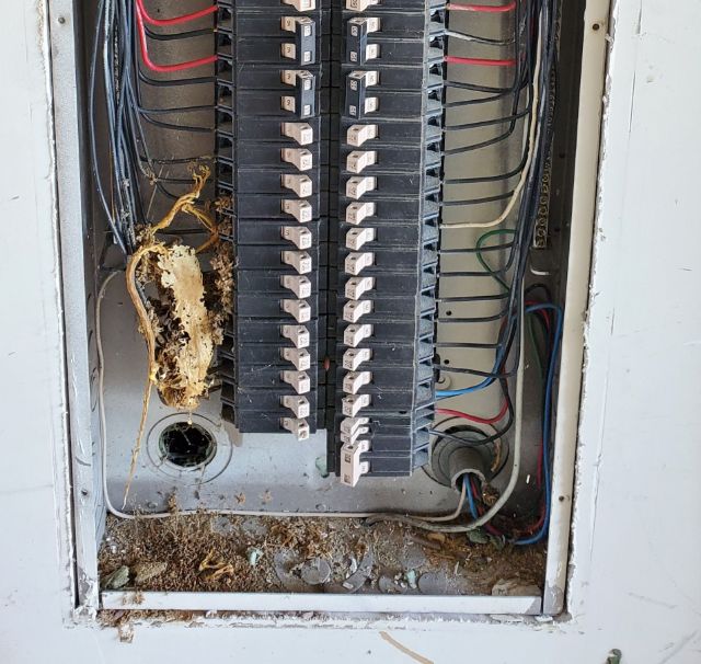 800px-Breakerpanel-level4-inside-view135dl