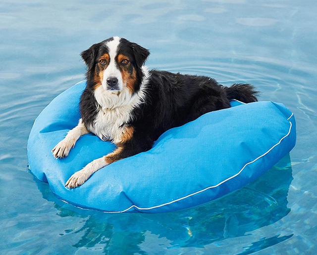 Red-White-and-Blueberry-Yogurt-Popsicles