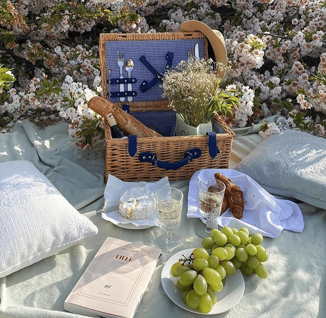 picnic-copy