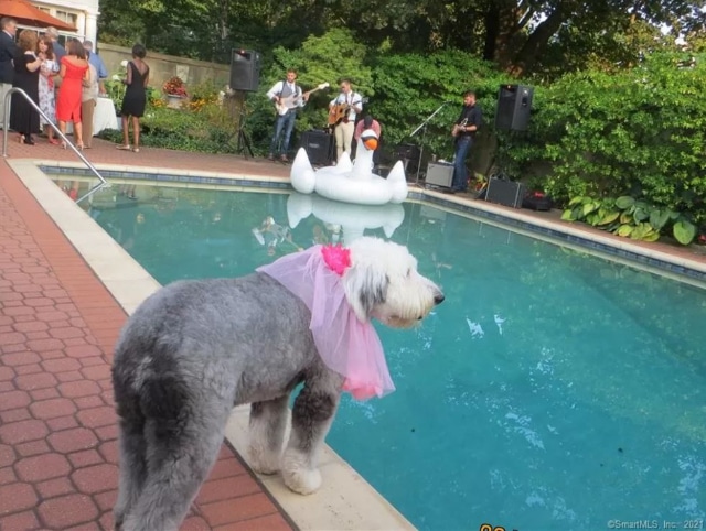 r2opMy1EXsOFoBKLOMCXJMLgOn037WQprVu-3rbT3QZbfxM0rn5Y6UcMl0kxFIm5Dhzfdx-tkYCDubHo6mBYwvzyGwuHjLlgnkEHrdEzUV_gH6RvS8OltOC1VBFKnki2ToVBKnR6