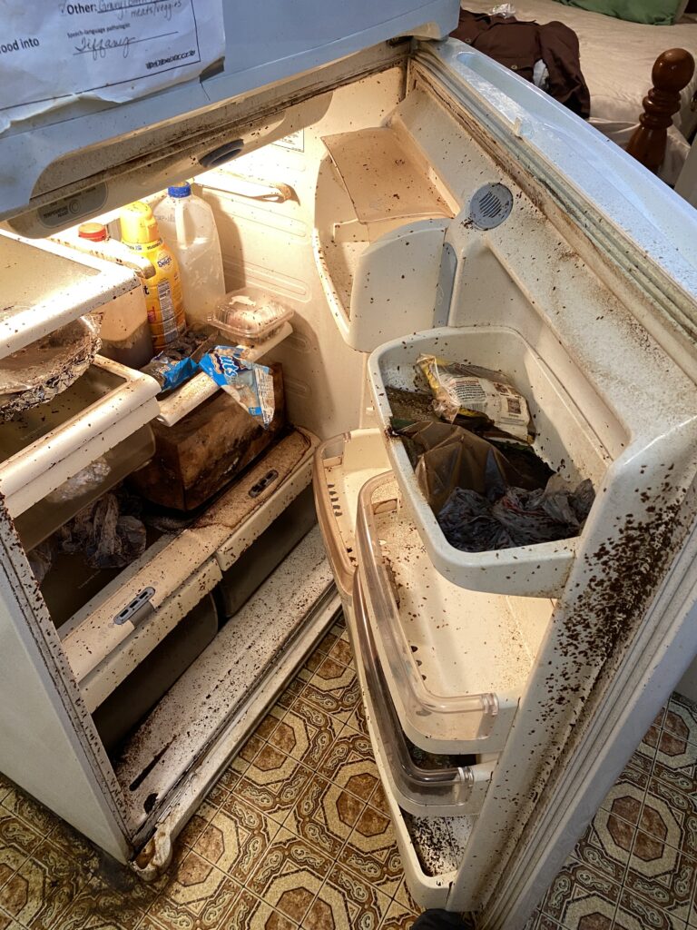 Clayton-Candy-Corn-1024x768