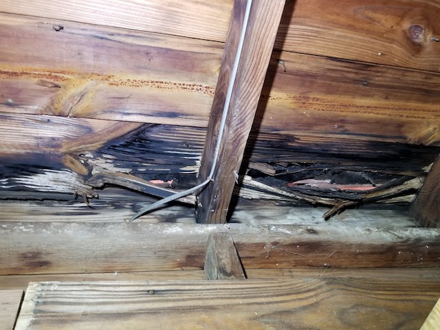 roof-leak