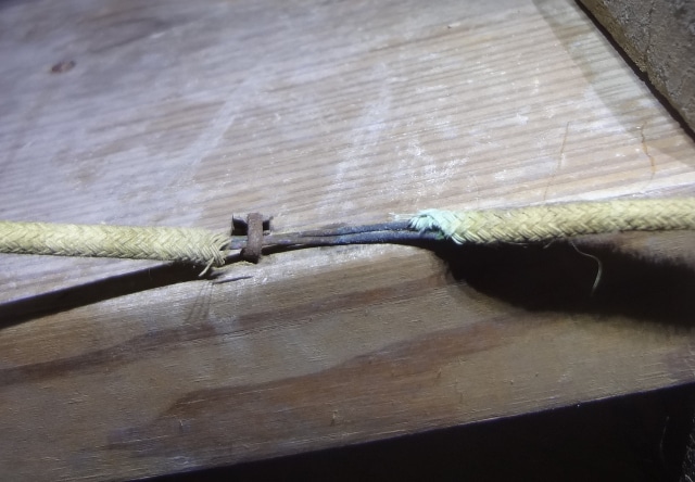 shocking-discoveries