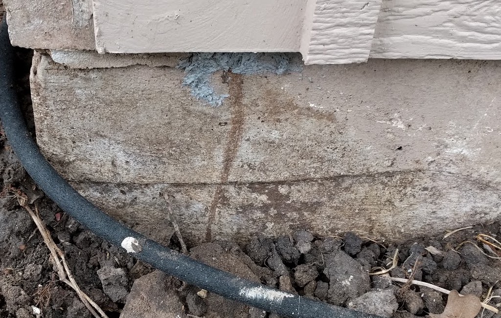 termite-tunneling-1