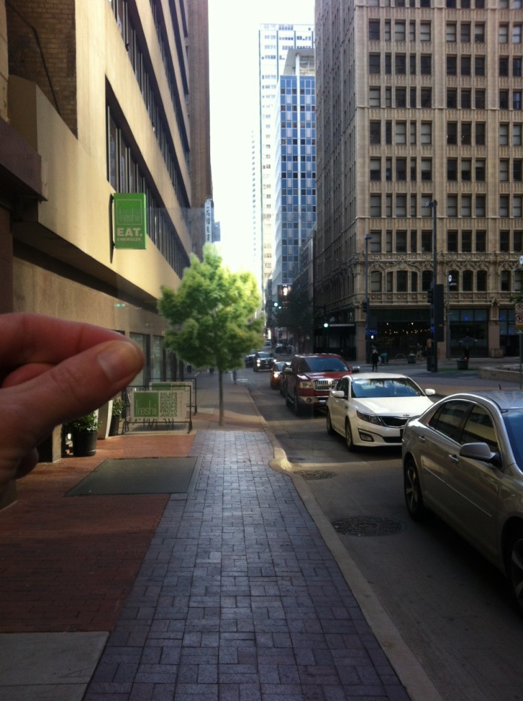 tree-e1430805879684-764x1024