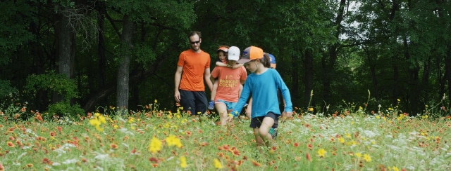 wildflowers