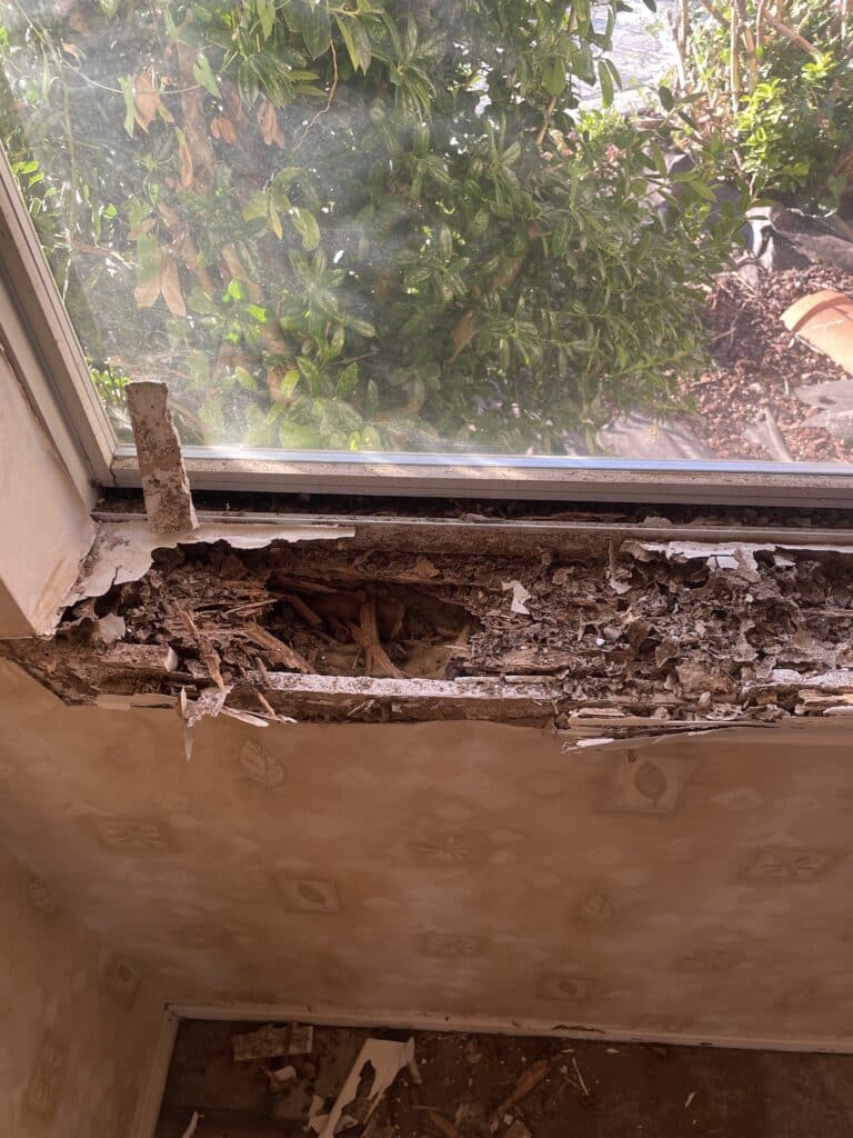 Clayton-Candy-Corn-1024x768