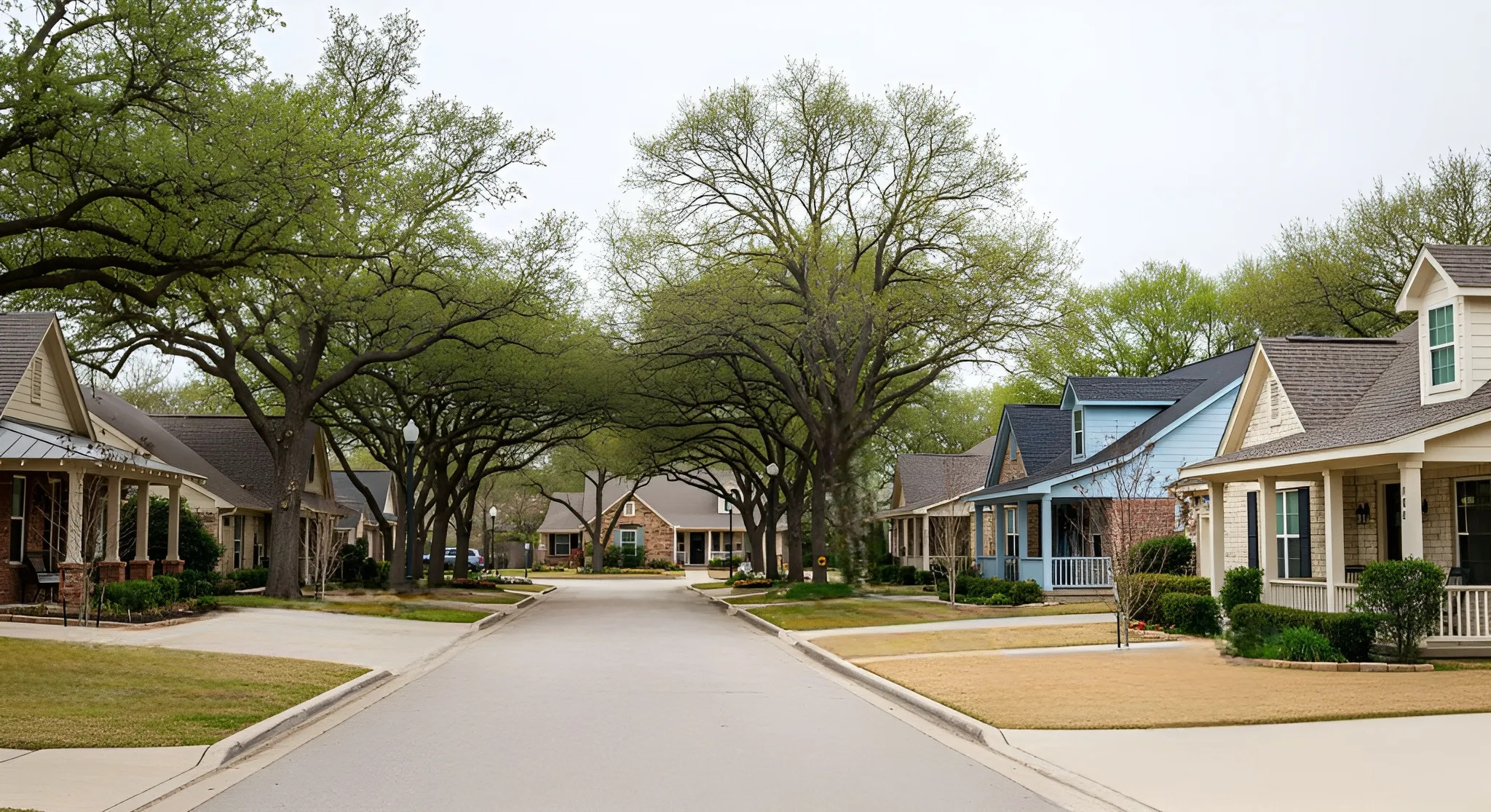 Empty suburban street with no people, highlighting the silence and stillness of the neighborhood.