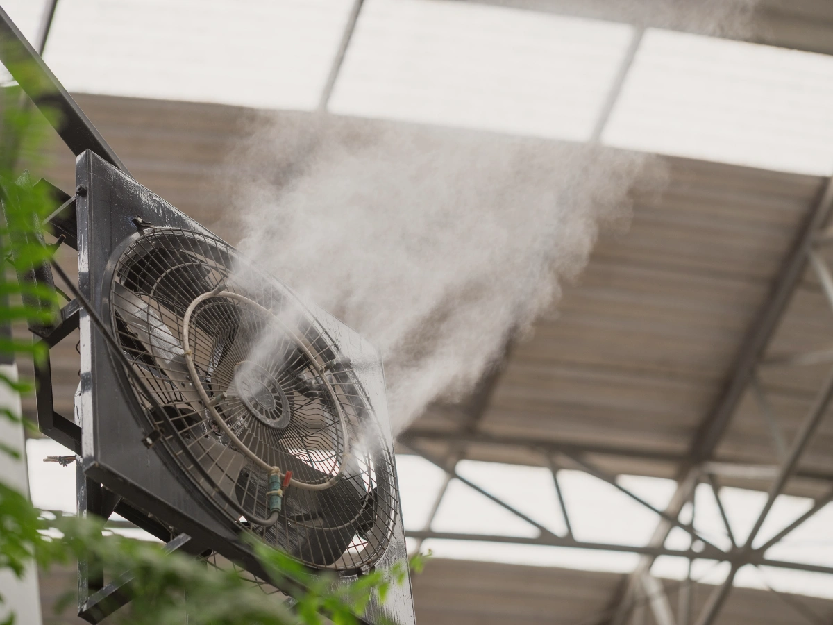 5 Ways to Keep Your Arizona Backyard Cool: Practical Solutions for Hot Days