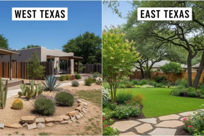 Regional landscaping and roofing for Texas climate