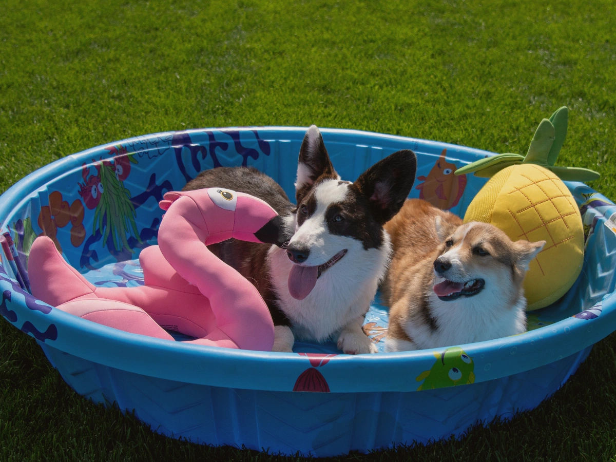 5 Ways to Keep Your Arizona Backyard Cool: Practical Solutions for Hot Days