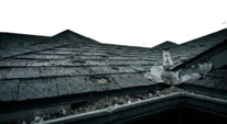 Hail-damaged roof shingles on a Dallas area home