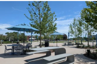 A sunny day shot of Halperin Park, featuring unique, curved concrete picnic benches